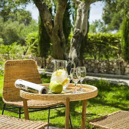 Avithos Hotel 4*